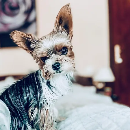 Morska Fala * Pobierowo