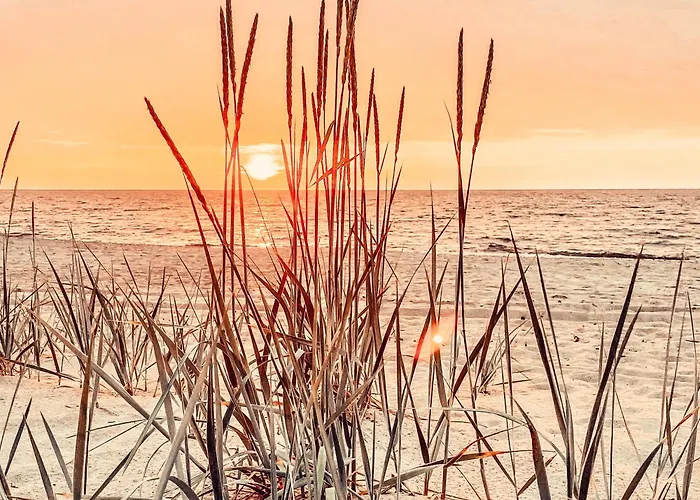 Проживание в семье Morska Fala *