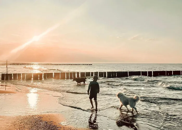 Проживание в семье Morska Fala *