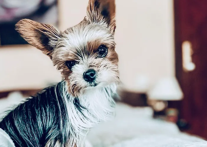 Morska Fala * Pobierowo